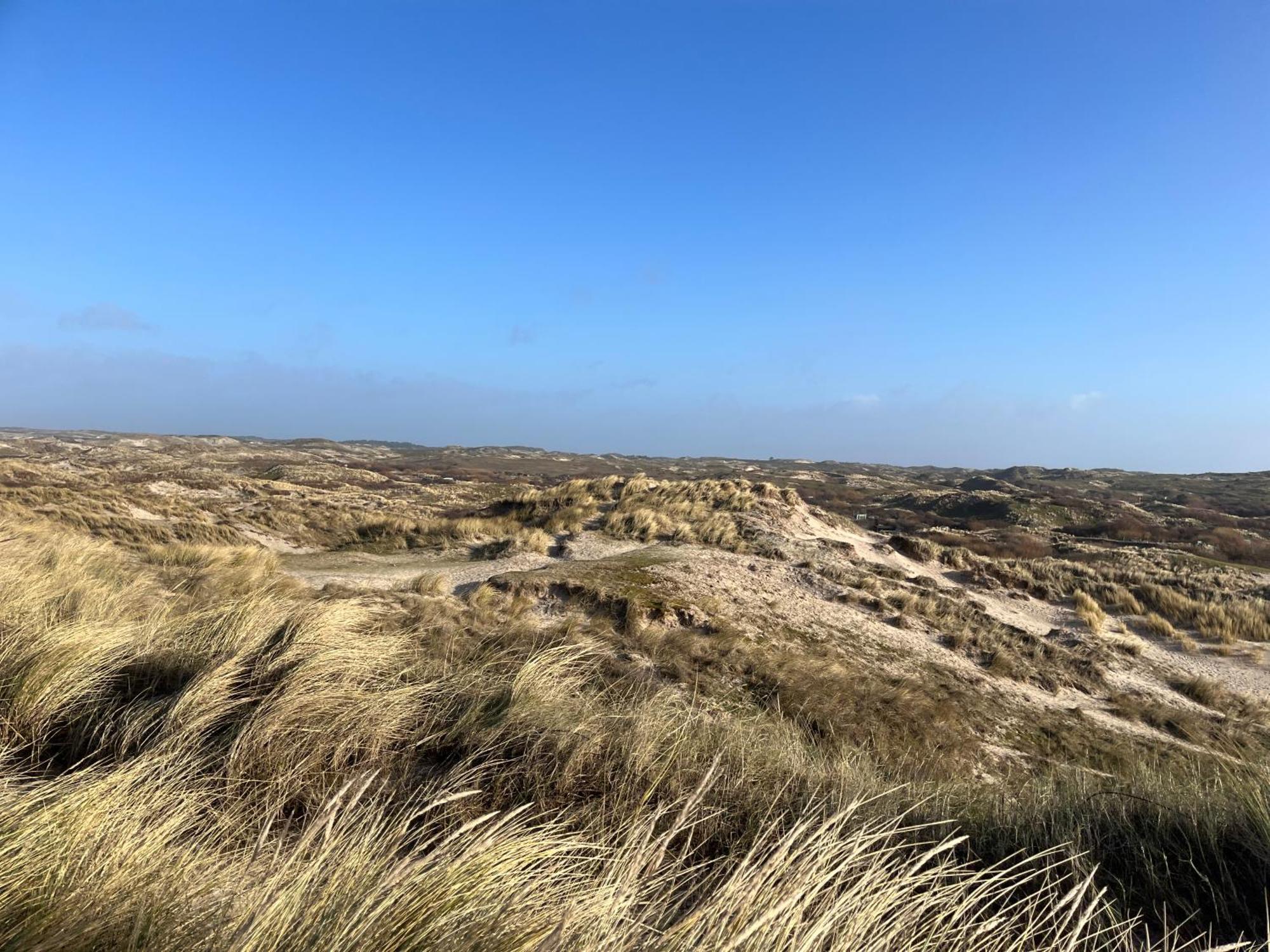 Vakantiehuis Aan Zee Egmond aan Zee Dış mekan fotoğraf